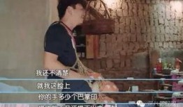 天缘老婆爆料视频播放,揭秘背后惊人真相
