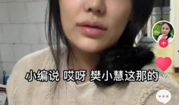 樊小慧的爆料视频在哪看,揭秘事件真相
