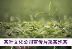 茶叶爆料视频大全集下载,揭秘茶叶界的秘密与传奇