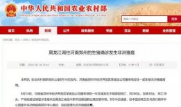 江苏热点爆料中毒新闻最新,多人受害，紧急调查中！