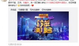 湖南跨年爆料新闻报道最新,璀璨烟花映照新年梦想，精彩节目引爆狂欢夜