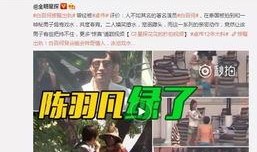 紫兰花技能爆料视频,华丽绽放，花语传情