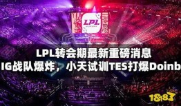 the最新爆料