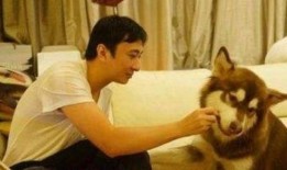 娱乐圈吃瓜爆料王思聪,揭秘吃瓜王思聪的幕后故事