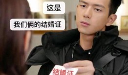 李现爆料海绵宝宝视频,海绵宝宝背后的秘密大揭秘！