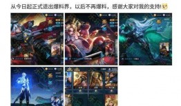 退网爆料王者荣耀视频下载,退网爆料视频下载背后的真相