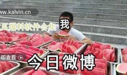 最新爆料吃瓜视频下载,独家下载，一探究竟！