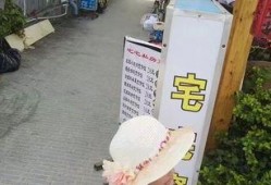 深圳小陈最新爆料,揭秘最新热点事件内幕