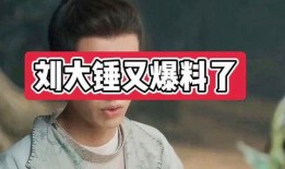 刘大锤爆料娱乐圈,刘大锤独家爆料揭秘幕后真相