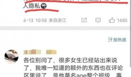 西湖地铁爆料视频最新版,揭秘神秘线路与惊艳设计