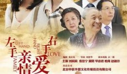 电视剧左手亲情右手爱在线观看,情感纠葛中的家庭抉择