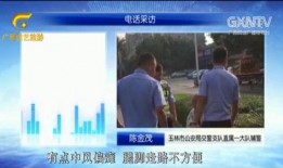 老人生活爆料视频下载免费,免费下载爆料视频背后的真实故事