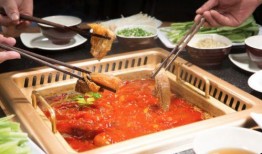 知晓美食爆料视频在线观看,跟随视频揭秘热门美食制作过程