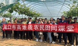 农民智多星爆料视频,农业创新与智慧农业新篇章