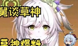 原神草神爆料图文大全最新,揭秘神秘力量与全新冒险