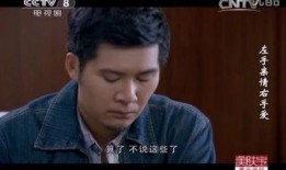 电视剧左手亲情右手爱在线观看,情感纠葛中的家庭抉择