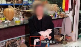 博主爆料继父视频大全,博主爆料背后的真相与争议