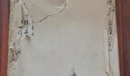 淮安生蚝店爆料案件最新,揭开食品安全背后的惊人真相