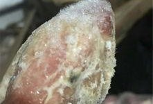 如何爆料发霉的食品呢视频,如何有效爆料发霉食品