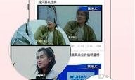 娱乐爆料文案生活视频app,娱乐爆料背后的精彩瞬间