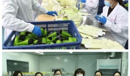 石家庄医护培训爆料视频,揭秘培训现状与挑战