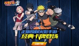 忍者新人爆料在哪看啊视频,独家视频观看指南