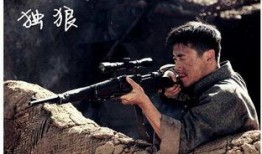 独狼 全集在线观看,孤胆英雄的传奇征程