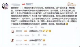 草神外网爆料视频下载,剧情亮点与角色深度解析