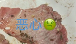 自助烧烤爆料视频,自制美食的激情碰撞与美味诱惑