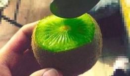 抖音可以吃瓜的网红,揭秘热门吃瓜网红背后的故事