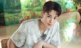 圈内人士爆料王鹤棣视频,圈内人士揭秘幕后真相