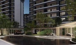 杭州湾新闻爆料热线官网,见证城市脉搏，倾听民声心声