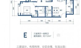 杭州湾新闻爆料热线官网,见证城市脉搏，倾听民声心声