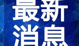 郑州烧饼爆料视频最新,揭秘背后真相与网络舆论风暴