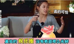 娱乐圈内幕爆料文案,揭秘明星背后的真实故事