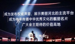 河北卫视在线观看,精彩节目尽在掌握