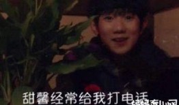 王源被爆料完整视频,真相与争议并存