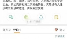 爆料网赌直播视频播放,视频播放背后的惊人真相
