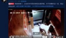 网红网友爆料视频大全集,揭秘网络热点背后的真相