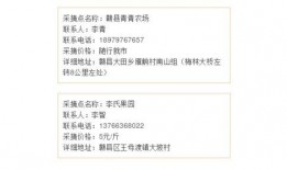 赣南新闻爆料电话查询,揭秘赣南最新动态，倾听民声心声