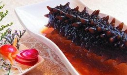 即食海参爆料视频教程大全,视频教程大全解析