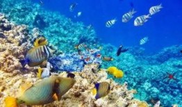 新版海洋地形爆料视频,震撼爆料视频深度解析