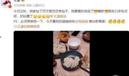 王蒙天涯爆料视频,娱乐圈幕后真相大曝光
