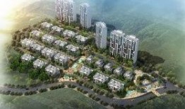 杭州湾新闻爆料热线官网,见证城市脉搏，倾听民声心声