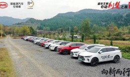 比亚迪郑州网红工地吃瓜,吃瓜群众围观绿色建筑奇迹”