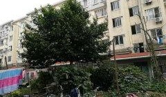 闵行丽园小区爆料视频大全,揭秘社区生活点滴